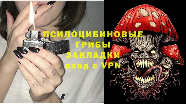 mdpv Армянск