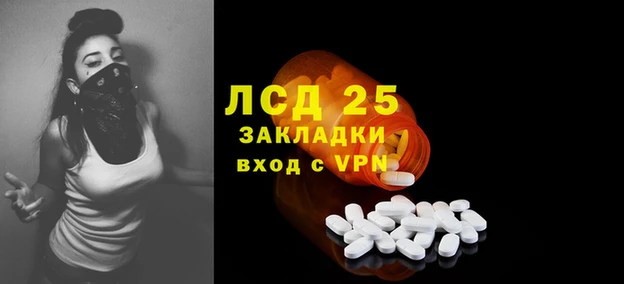 стафф Аркадак