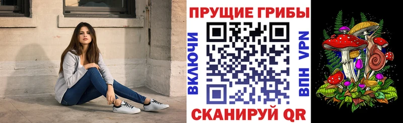 где найти наркотики  Инсар  Псилоцибиновые грибы GOLDEN TEACHER 